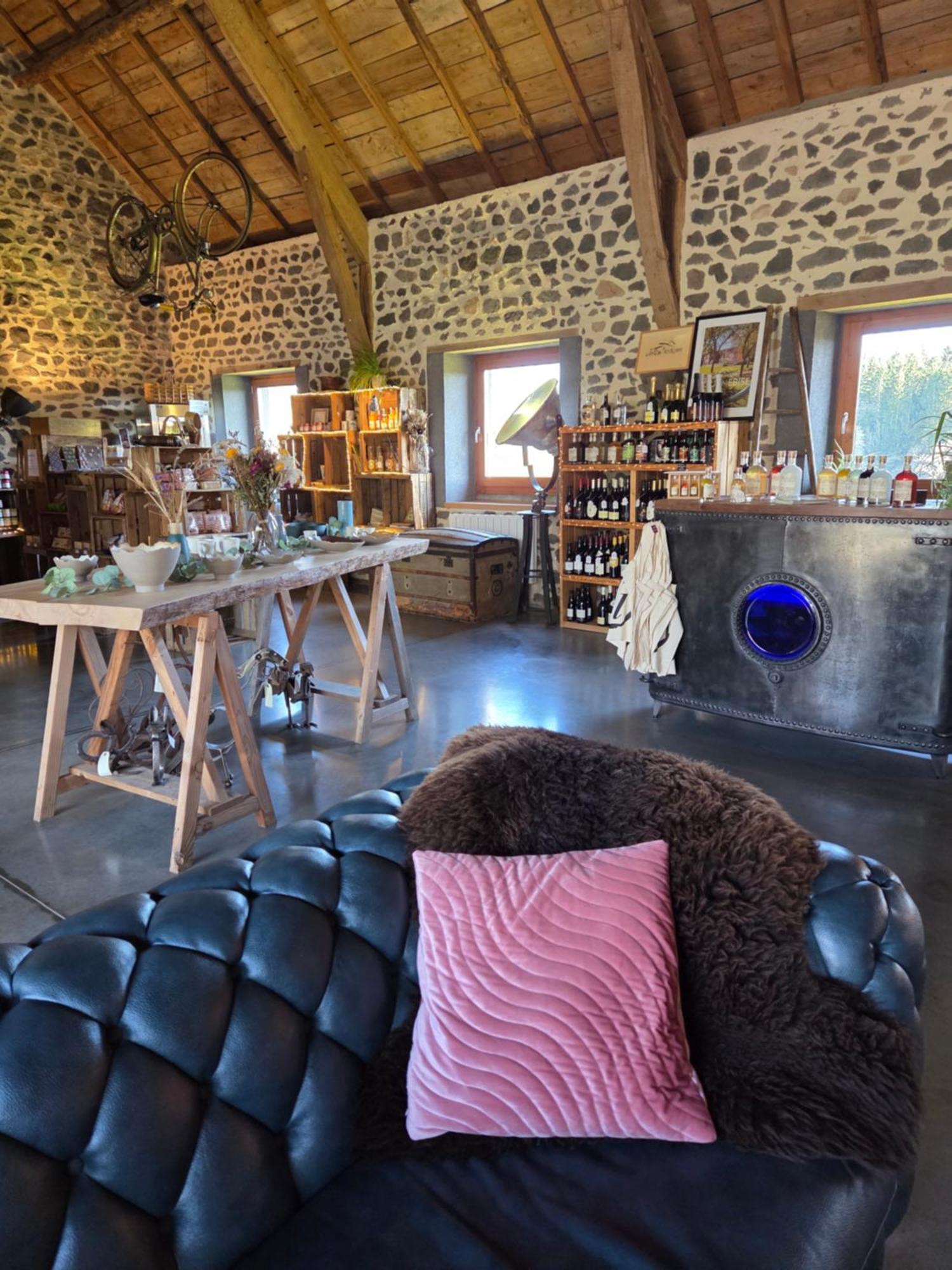 Les Volca'Lodges De Tournebise Saint-Pierre-le-Chastel Zewnętrze zdjęcie